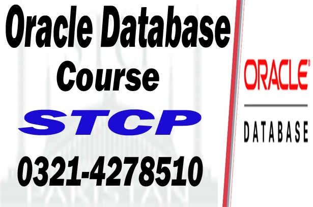 oracle database