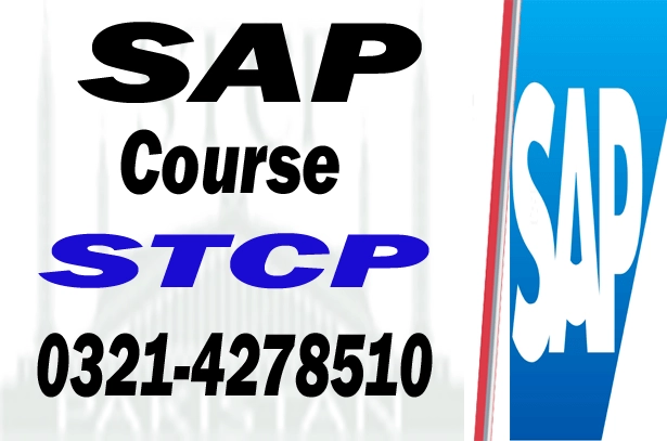 sap course