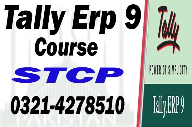 tally erp 9